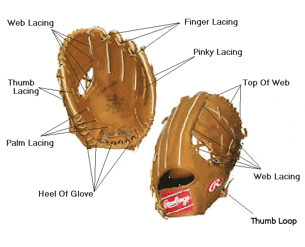 baseball handschuh pflege Dugout24 Baseballhandschuh Reparatur Service