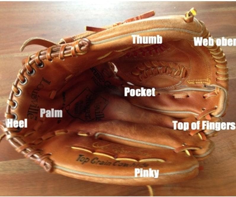 baseball handschuh pflege Dugout24 Baseballhandschuh Reparatur Service
